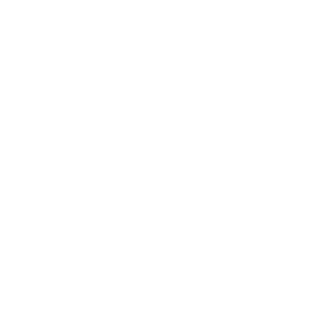 Malaria Die